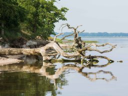 familie stockamp juni 2016 10